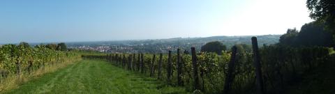 natürlich Pfalz