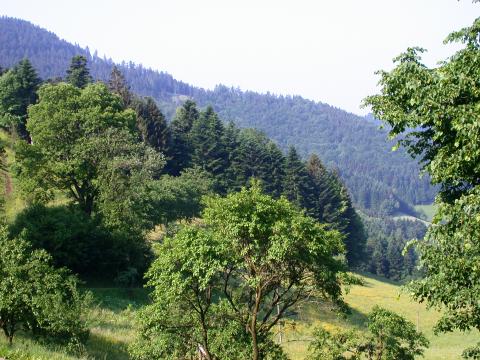 Das Tal der Erinnerung