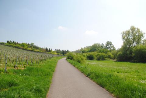 Hypnose, Frühlingsweg, Weg, Weg ins Grüne