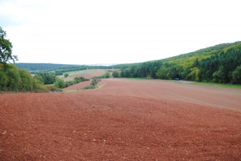 Klimawandel