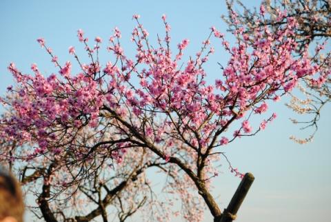 Frühling