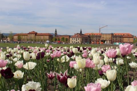 Landesgartenschau 