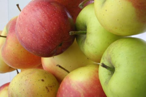 Gesunde Ernährung, Mood Food, Soul Food