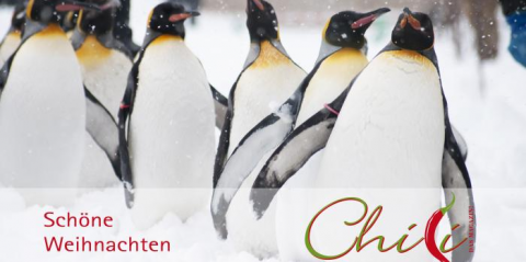 weihnachtsgrueße
