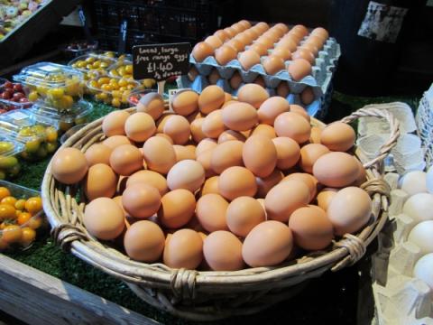 Eier