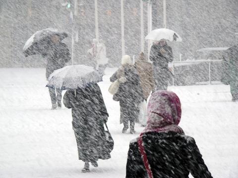 Winter in Speyer