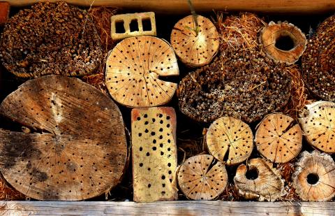 Insektenhotels