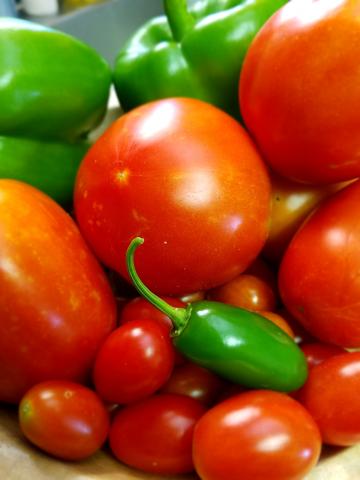 Tomaten