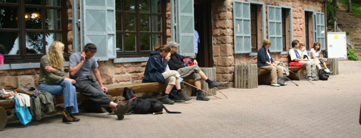 Sommerzeit im Pfälzerwald, Hüttenrast