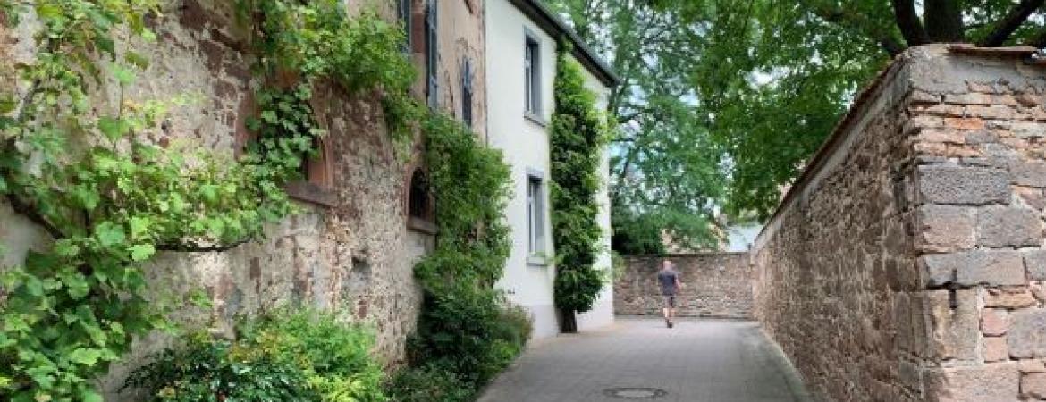 Urlaub in der Pfalz