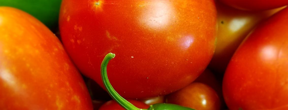 Tomaten