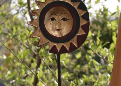 Sonnenhungrig