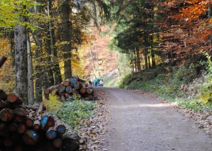 Pfalz