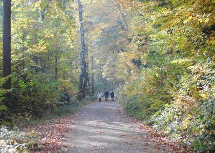 Wald auf Rezept