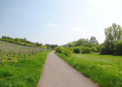 Hypnose, Frühlingsweg, Weg, Weg ins Grüne