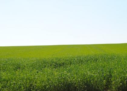 Landbau
