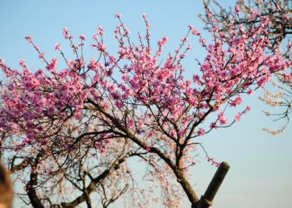 Frühling