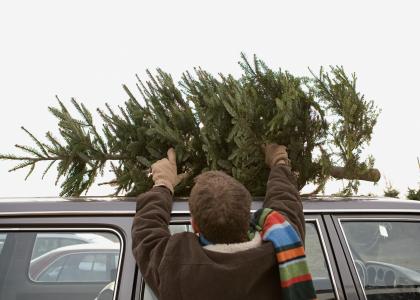 Weihnachtsbaum 