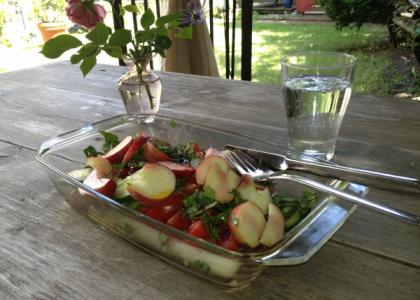 Ernährungsbibel 