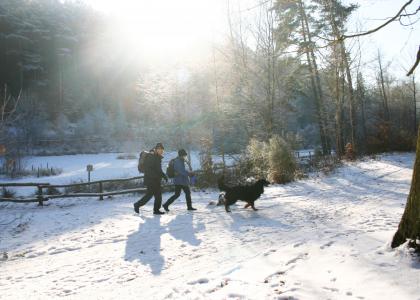 Winterwandern