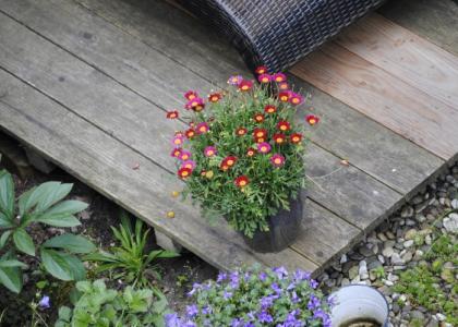 Gartenfreunde