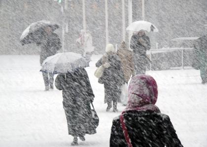 Winter