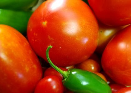 Tomaten