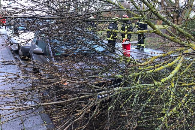 Info 006 Unwetter.jpg